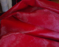 100220091645.jpg