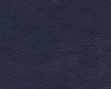 3044131.jpg