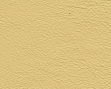 3044135.jpg