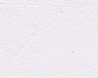 3044136.jpg
