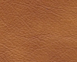 3044143.jpg