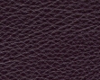 64.jpg