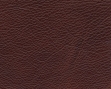 67.jpg